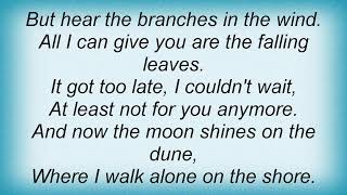 Robyn Hitchcock - Falling Leaves Lyrics