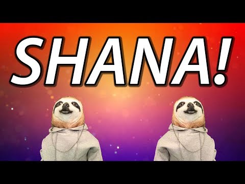 HAPPY BIRTHDAY SHANA! - SLOTH HAPPY BIRTHDAY RAP