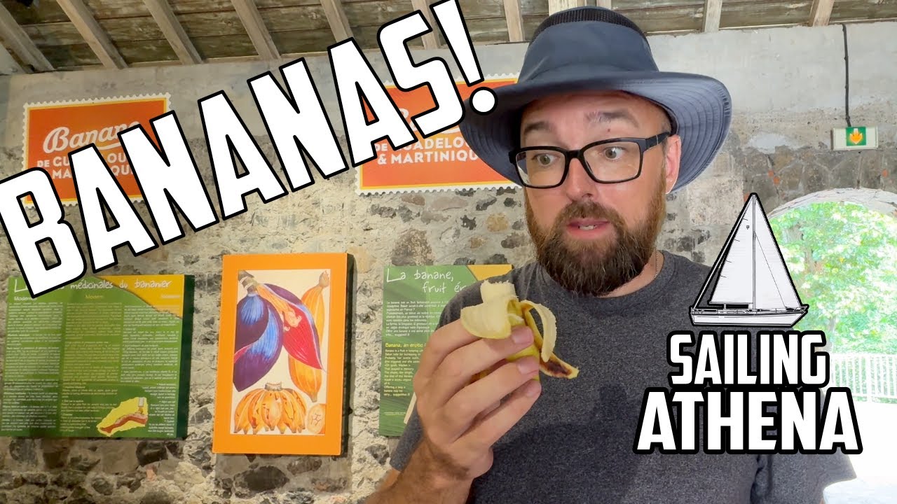 Sail Life - This is BANANAS! 🍌😉