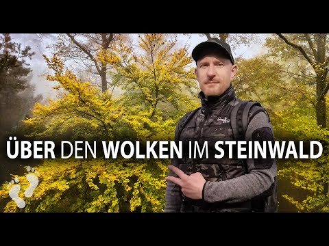 Über den Wolken im Steinwald  -  Biwaktour Oberpfalz + Test Nachtsicht Kamera Oukitel WP21 Ultra
