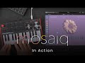 Video 4: In Action