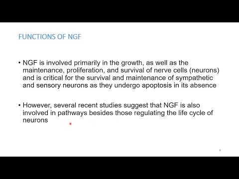 FACTORS PROMOTING NEURONAL GROWTH