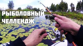 Ссылка
