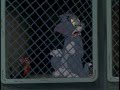 Robyn Tom And Jerry My Immortal
