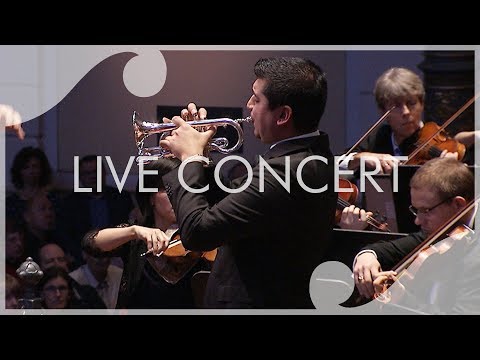 Haydn Trumpet Concerto Thumbnail