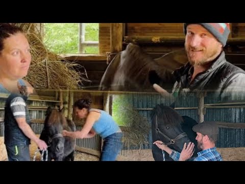 Rescue from the heart , why we save other horses in need - NOT just the Elite