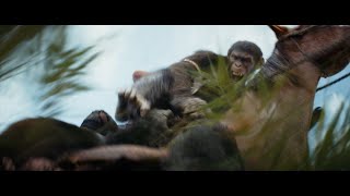 Kingdom of the Planet of the Apes | Epic