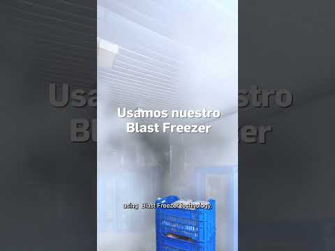 ❄️🧊 𝐒𝐄𝐑𝐕𝐈𝐂𝐈𝐎 𝐃𝐄 𝐂𝐎𝐍𝐆𝐄𝐋𝐀𝐌𝐈𝐄𝐍𝐓𝐎 𝐑Á𝐏𝐈𝐃𝐎 𝐙𝐆𝐑𝐎𝐔𝐏 🧊❄️