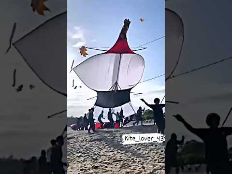 🌶️New Big 100"Tava Kite Flying😱New Amritsari Kite✔️#kiteflying #shorts #kitelover #ytshorts #kites