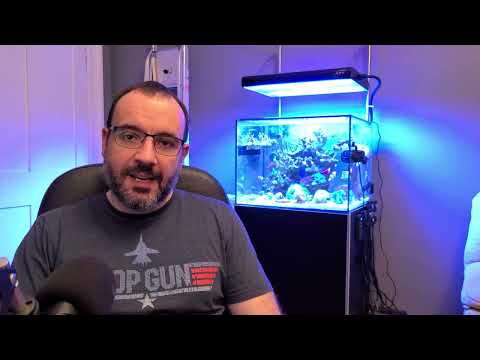 SPS Nano Reef Tank 10 Month Update