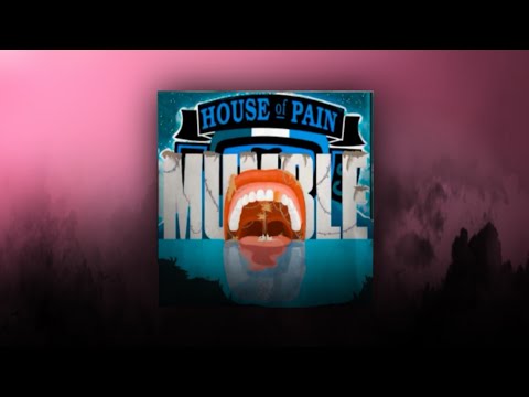 Mumble vs Jump Around (TV Noise Mashup)