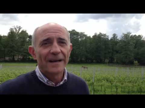 Cascina Ronchetto, dove nasce il vino varesino