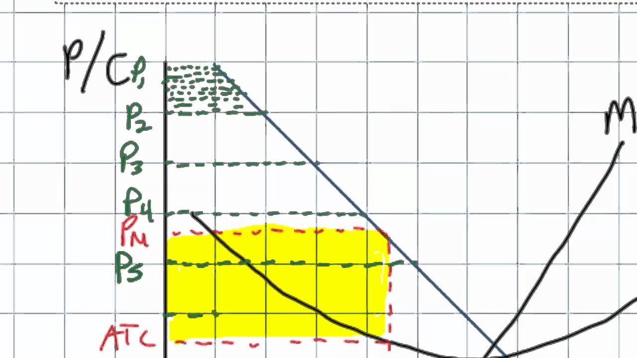 First Degree Price Discrimination and its Effect on Efficiency in a Monopolistic Market