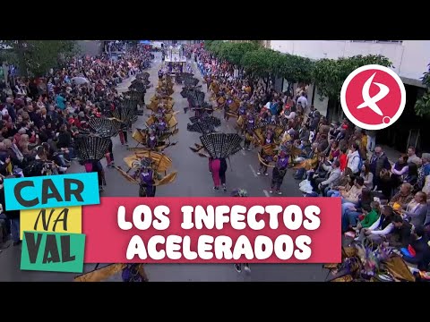 INFECTOS ACELERADOS | DESFILE | Carnaval de Badajoz | 2024