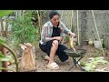 How To Make Grilled Corn In Its Husk On The Fire Delicious And Different