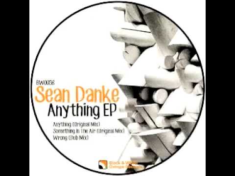 Sean Danke - Anything (Original Mix)