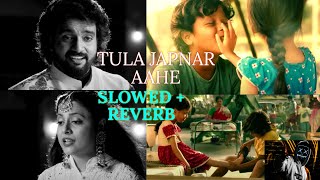 Download lagu tula japnar aahe - तुला जपणार आहे - lofi (slowed   reverb) | adarsh shinde,ronkini gupta mp3