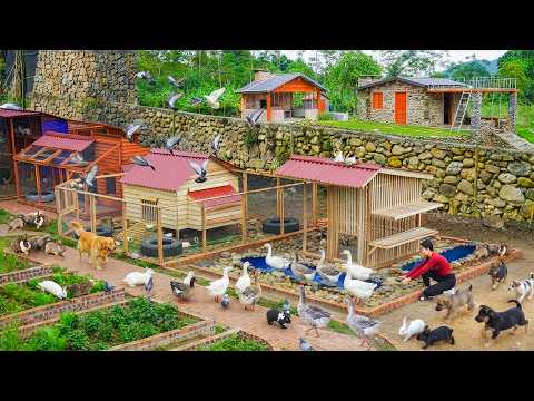 Full Video: 45 Days Building Many Creative House For Pigeon, Rabbit, Cat, Goose - Growing Jackfruit