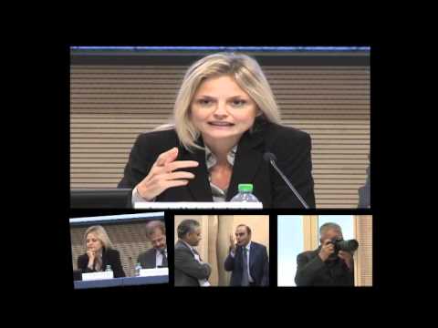 Quanto interessa la politica estera?