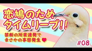 タイムリープで恋鳩攻略!?【はーとふる彼氏実況 ＃08】