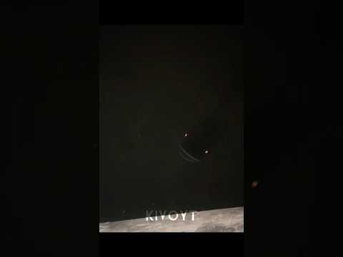 Sea Creatures Are Scary 💀