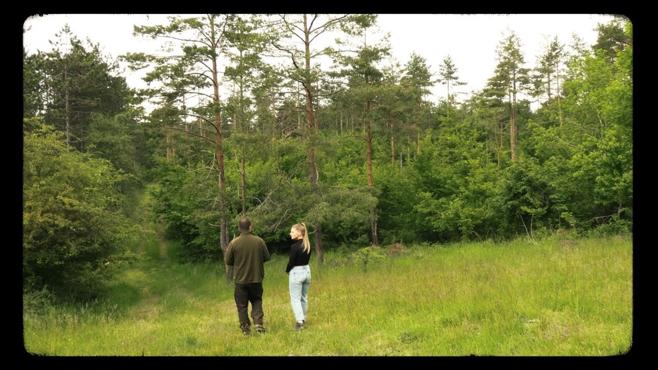 Erdőtűzmegelőzés természetes módszerekkel a Vértesben #erdőmánia #erdőtűz