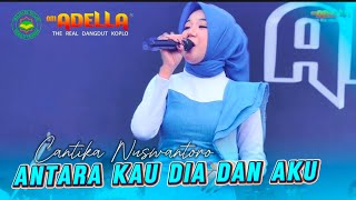 Download lagu ANTARA KAU DIA DAN AKU - CANTIKA NUSWANTORO - ADELLA LIVE SABILU TAUBAH GUS IQDAM BLITAR mp3 Download lagu ANTARA KAU DIA DAN AKU - CANTIKA NUSWANTORO - ADELLA LIVE SABILU TAUBAH GUS IQDAM BLITAR mp3