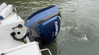 Evinrude 150 E-Tec H.O for sale - Image 4 | Autoline BW Evinrude 150 E-Tec H.O | Image 4 - Autoline