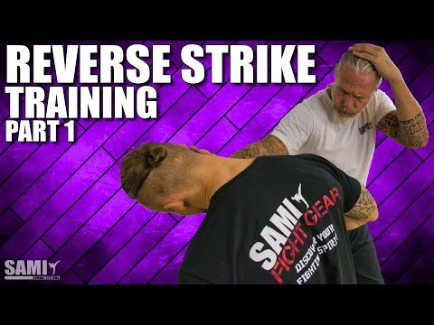 Reverse Strike Training - Part 1