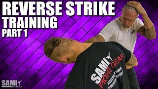 Reverse Strike Training - Part 1