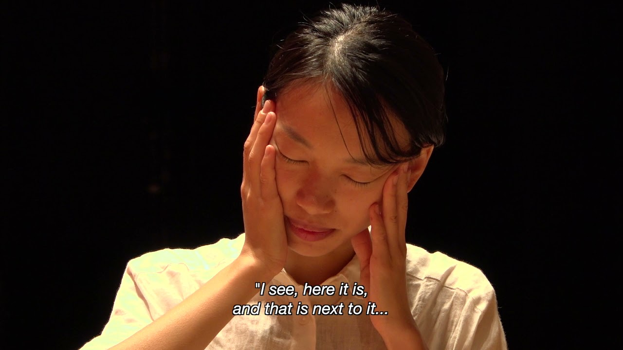 Double Layered Town Trailer