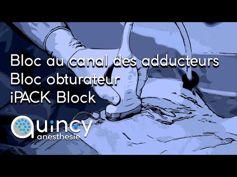 Bloc au canal des adducteurs, bloc obturateur et iPACK Block