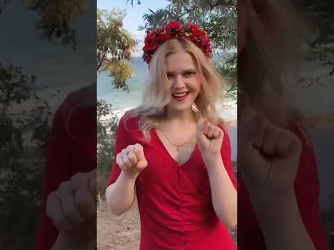 Гей, соколе!