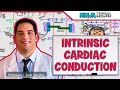 Cardiovascular Electrophysiology Intrinsic Cardiac Conduction System