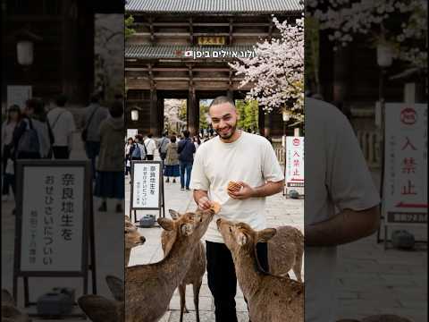 ולוג איילים ביפן😍