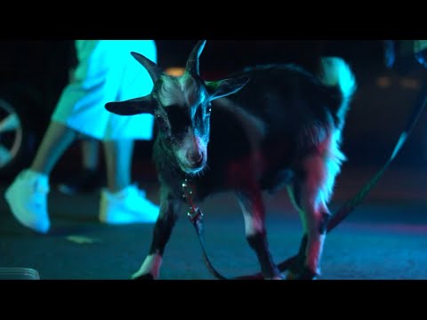 Wakko Dawgs Too Far (Official Video) I Shot By 🎥 Socially Certified