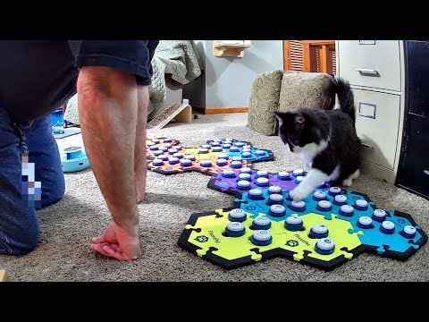 Todd and Dad Are Still Finding It Hard Without Glamour