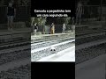 Esse Palhaço Apareceu Na Hora Certa Killerclown Viralvideo Weird Strangeguy Pegadinha