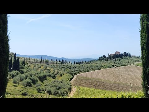 Gaiole in Chianti, Vertine, Radda - Siena