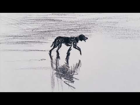 Evolex - Ti ho raccontato di me