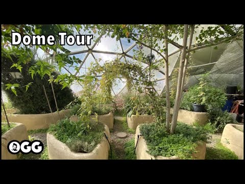 Lush Geodesic Dome Greenhouse in the Desert