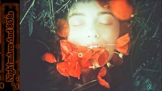 ± BL▲K.:P▲N3L:.SKR↑P† - D Ξ S I R Ξ  ±