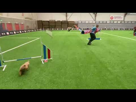 Algility 29.12.21 Kine Eimhjellen.