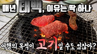 [태백 현지인 맛집 투어] 태백 현지인이 가는 한우구이, 태백 노포 중국집, 태백 가성비 백반 &amp; 아침식사 | 내돈내산 맛집여행 태백 차박 VLOG | 270