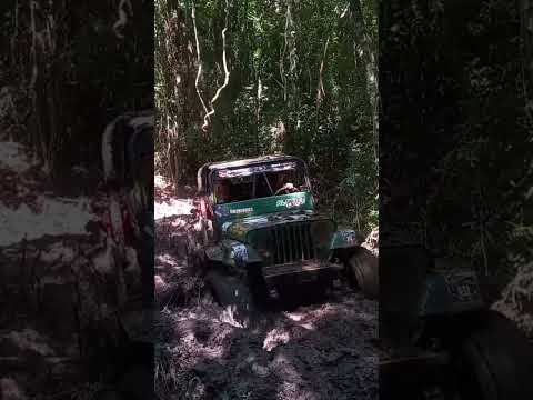 Trilla de 4x4 General Alvear Misiones 2025