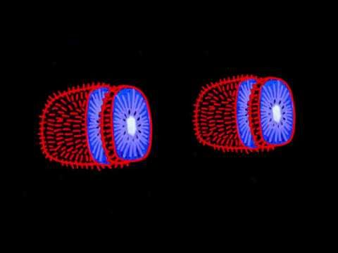 Simion - Give You Love (Official Video)