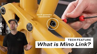 Treks Mino Link Explained