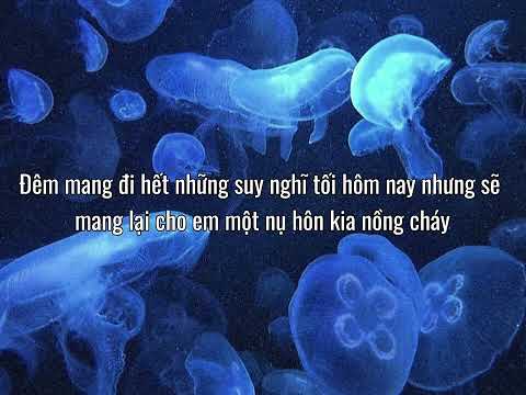 Don't côi | RPT Orijinn x Ronboogz | Lyrics video