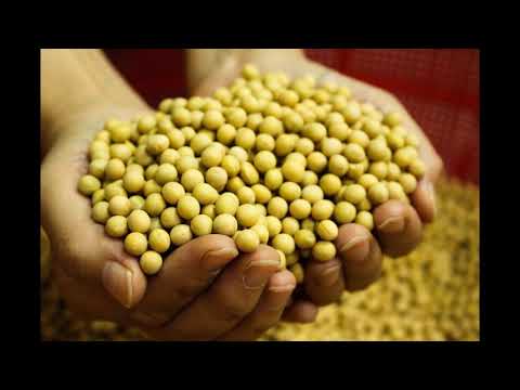 ¿Por qué baja el dólar pese a la compra masiva de divisas por el BCRA?