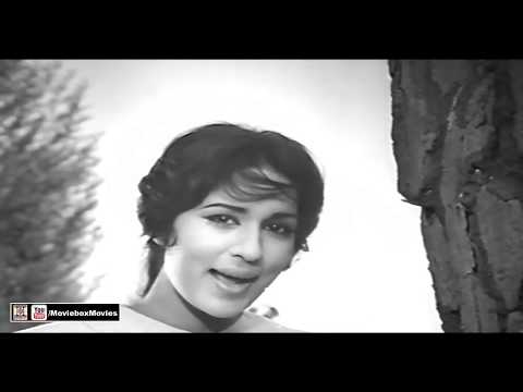 Kiya Hai Jo Pyar To Paray Ga Nibhana | Mala | Lollywood Hit Track | Film Dil Mera Dharkan Teri